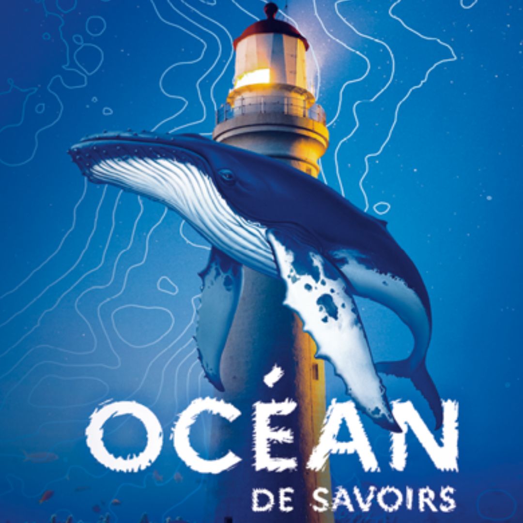 affiche phare er requin